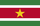 Surinamsk dollar (SRD)