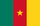 CFA Franc (BEAC) (XAF)